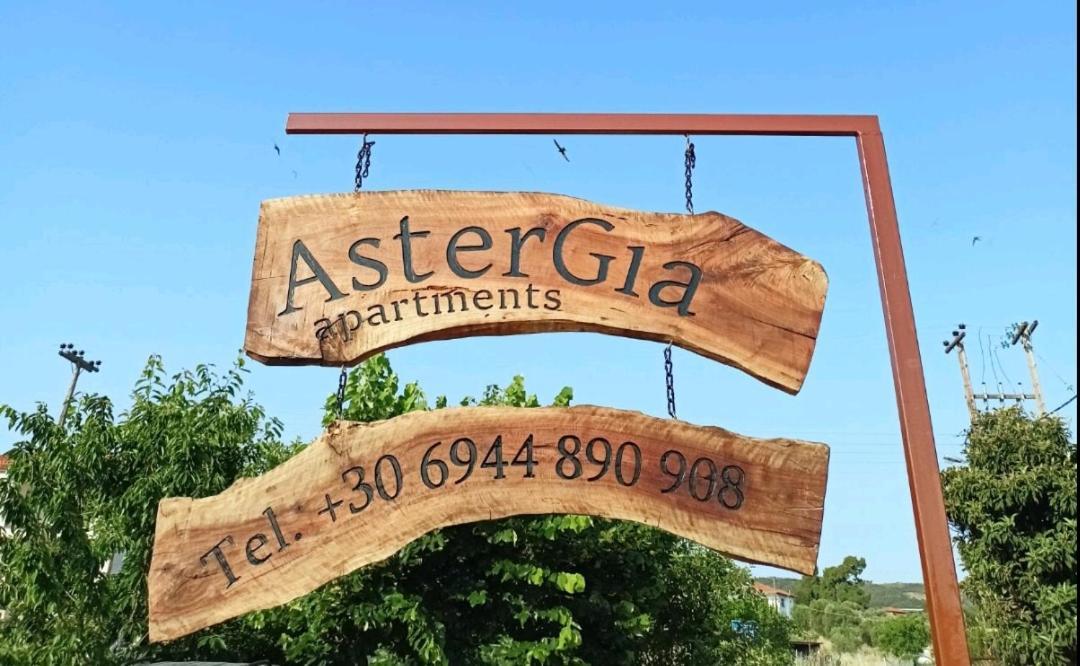Chalkidiki Astergia Apartments Metagkitsi Extérieur photo